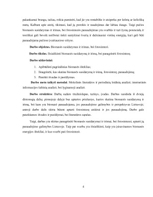 BIOMASĖS SUSIDARYMAS IR IRIMAS. FOTOSINTEZĖ (2). Paveikslėlis 4
