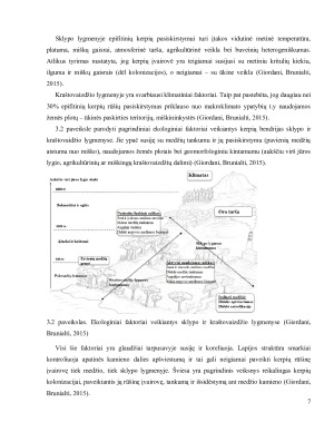 EPIFITINIŲ KERPIŲ RŪŠINĖS ĮVAIROVĖS TYRIMO METODIKA. Paveikslėlis 7