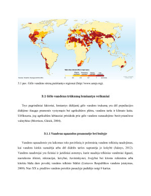 GĖLO VANDENS PROBLEMA. Paveikslėlis 9