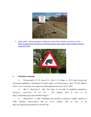 Varliagyvių žuvimo keliuose problema. Paveikslėlis 6