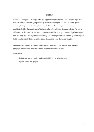 Kserofitų prisitaikymas sausoms augimo sąlygoms ir jų grupės pagal anatominius bei morfologinius požymius. Paveikslėlis 3