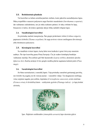 Kserofitų prisitaikymas sausoms augimo sąlygoms ir jų grupės pagal anatominius bei morfologinius požymius. Paveikslėlis 6