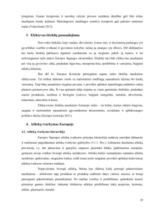 ANTRINIS IŠTEKLIŲ PANAUDOJIMAS. Paveikslėlis 10