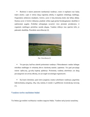 Vandens tarša – priežastys ir pasekmės. Paveikslėlis 9