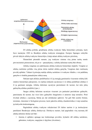 SĄVARTYNAI LIETUVOJE IR EUROPOS SAJUNGOJE. Paveikslėlis 5