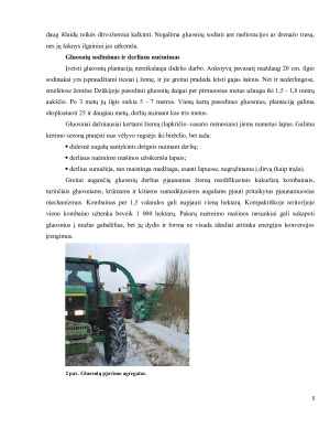 Energetinių gluosnių plantacijų auginimas Lietuvoje esama padėtis ir panaudojimo biokurui perspektyvos. Paveikslėlis 5