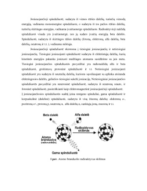 Radioaktyvumo matavimo būdai ir vienetai. Paveikslėlis 5