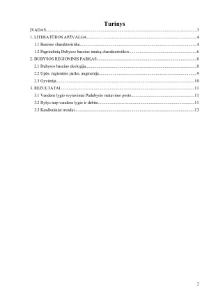 Dubysos upės hidroekologinė charakteristika. Paveikslėlis 2