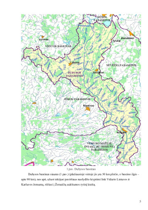 Dubysos upės hidroekologinė charakteristika. Paveikslėlis 5