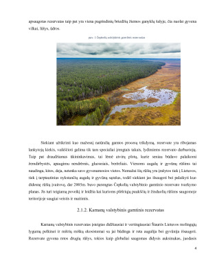 SUMANI GAMTINĖ APLINKA APLINKOS APSAUGA. Paveikslėlis 5