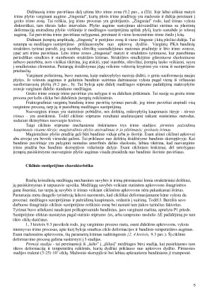 Plastikų ir kompozitų nuovarginis irimas bei jų ilgaamžiškumo prognozavimas. Paveikslėlis 4