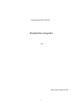 Branduoline energetika