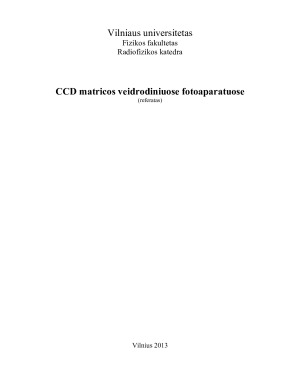 CCD matricos veidrodiniuose fotoaparatuose. Paveikslėlis 1