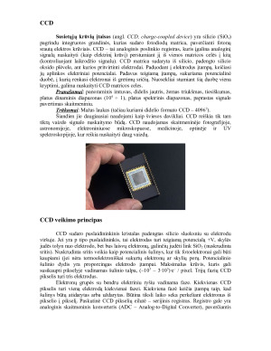 CCD matricos veidrodiniuose fotoaparatuose. Paveikslėlis 2