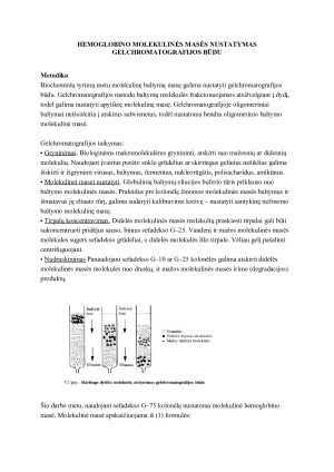 MEDŽIAGŲ TYRIMAS CHROMATOGRAFINIAIS METODAIS. Paveikslėlis 6