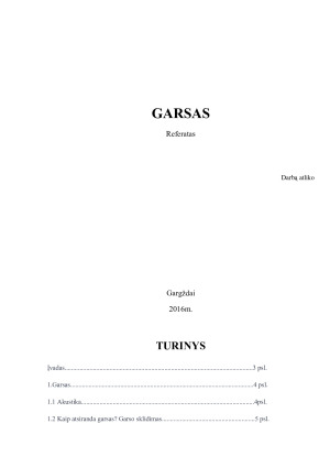 GARSAS. Paveikslėlis 1