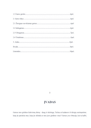 GARSAS. Paveikslėlis 2