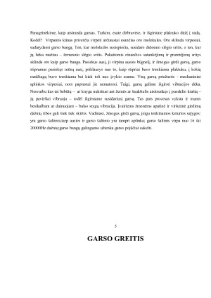 GARSAS. Paveikslėlis 5