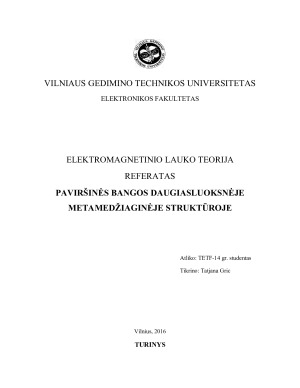 PAVIRŠINĖS BANGOS DAUGIASLUOKSNĖJE METAMEDŽIAGINĖJE STRUKTŪROJE