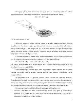 BIOLOGINIŲ SISTEMŲ TERMODINAMIKA. Paveikslėlis 6