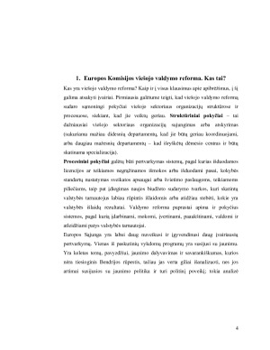 Viešojo valdymo reformos Europos Sąjungoje ir Lietuvoje. Paveikslėlis 4