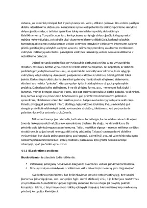 Viešojo administravimo problemos Lietuvoje. Paveikslėlis 8