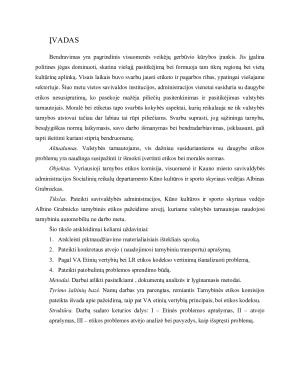 Piktnaudžiavimo tarnybiniu transportu atvejo analizė. Paveikslėlis 3