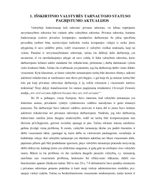 Danijos valstybės tarnybos statusas ir apimtis. Paveikslėlis 2