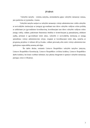 Valstybės tarnautojas. Paveikslėlis 3