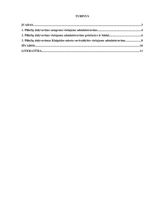 Piliečių dalyvavimas Klaipėdos miesto savivaldybės viešajame administravime