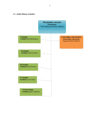 Europos Sąjungos Audito Rūmai. Paveikslėlis 5