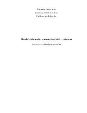 Masininės informacijos priemonių įstatyminis reguliavimas. Paveikslėlis 1