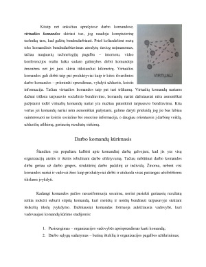 KOMANDINIS DARBAS VIEŠAJAME SEKTORIUJE. Paveikslėlis 10
