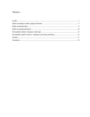 KOMANDINIS DARBAS VIEŠAJAME SEKTORIUJE. Paveikslėlis 2