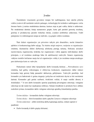 KOMANDINIS DARBAS VIEŠAJAME SEKTORIUJE. Paveikslėlis 3