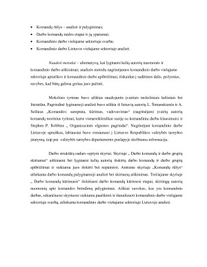 KOMANDINIS DARBAS VIEŠAJAME SEKTORIUJE. Paveikslėlis 4