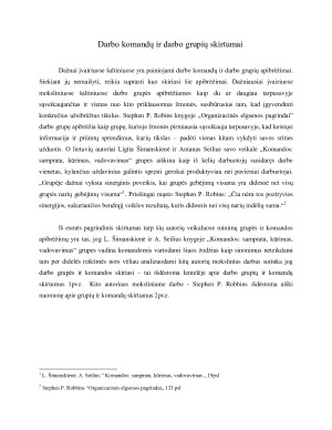 KOMANDINIS DARBAS VIEŠAJAME SEKTORIUJE. Paveikslėlis 5