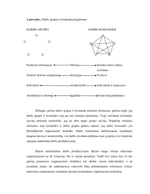 KOMANDINIS DARBAS VIEŠAJAME SEKTORIUJE. Paveikslėlis 7