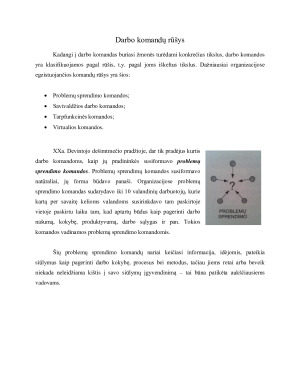 KOMANDINIS DARBAS VIEŠAJAME SEKTORIUJE. Paveikslėlis 8
