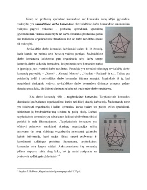 KOMANDINIS DARBAS VIEŠAJAME SEKTORIUJE. Paveikslėlis 9