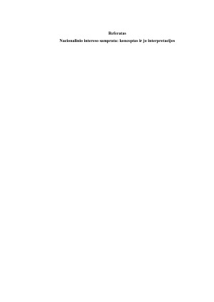 Nacionalinio intereso samprata konceptas ir jo interpretacijos