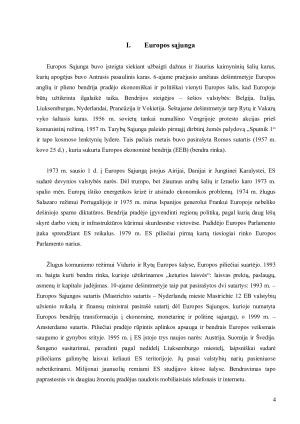 ES institucijos ir jų funkcijos. Paveikslėlis 4