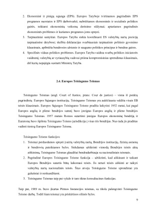 ES institucijos ir jų funkcijos. Paveikslėlis 9