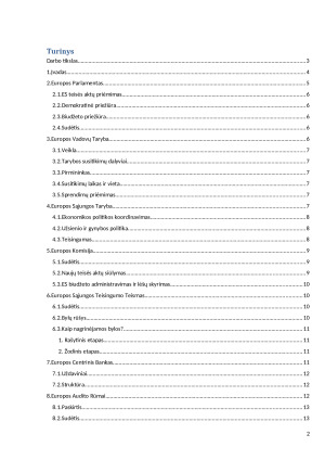 EUROPOS SĄJUNGOS INSTITUCIJOS. Paveikslėlis 2