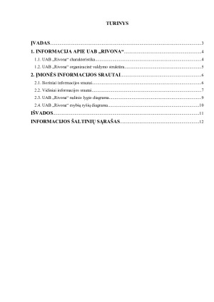 UAB „RIVONA“ INFORMACIJOS SRAUTŲ ANALIZĖ. Paveikslėlis 2