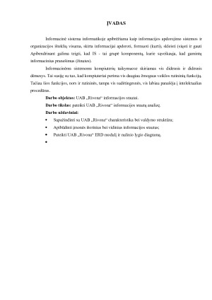 UAB „RIVONA“ INFORMACIJOS SRAUTŲ ANALIZĖ. Paveikslėlis 3