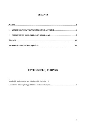 Viešoji atskaitomybė - Druskininkų atvejis. Paveikslėlis 2