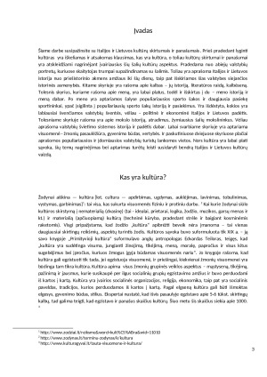 Italijos ir Lietuvos kultūros – skirtumai ir panašumai. Paveikslėlis 3
