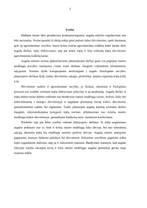 TRĘŠIMO PLANO SUDARYMAS. Paveikslėlis 2