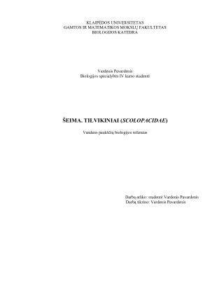 ŠEIMA. TILVIKINIAI (SCOLOPACIDAE). Paveikslėlis 1